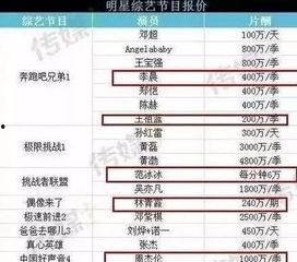 明星价格表,一窥娱乐圈明星出场费背后的秘密