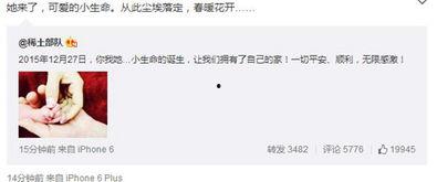 明星资讯是什么意思,揭秘娱乐圈最新动态